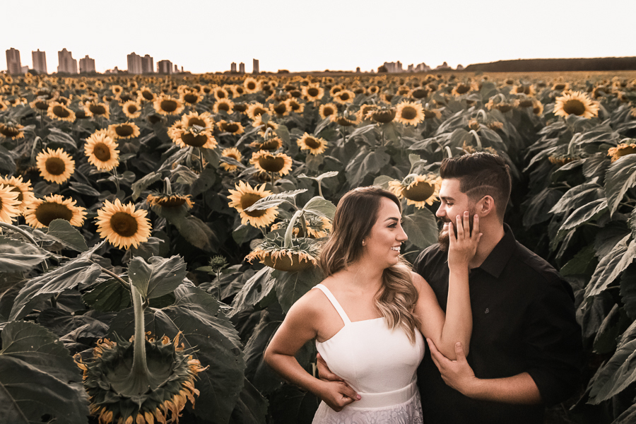 ENSAIO PRE CASAMENTO REALIZADO EM UMA LINDA PLANTACAO DE GIRASSOL EM MARINGA NO PARANA OS GIRASSOIS ESTAVAM LINDOS E FLORIDOS