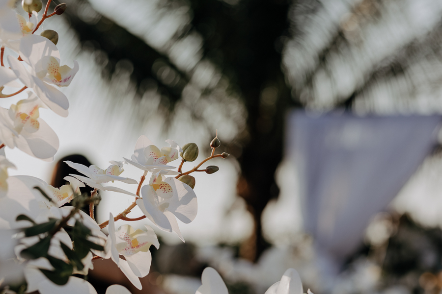 CERIMONIA DE CASAMENTO AO AR LIVRE REALIZADO NA CHACARA ALLAN DE EM IGUATEMI NO PARANA E FOTOGRAFADO POR LUCAS DREHER E ALINE DREHER COM ASSESSORIA DA MF EVENTOS