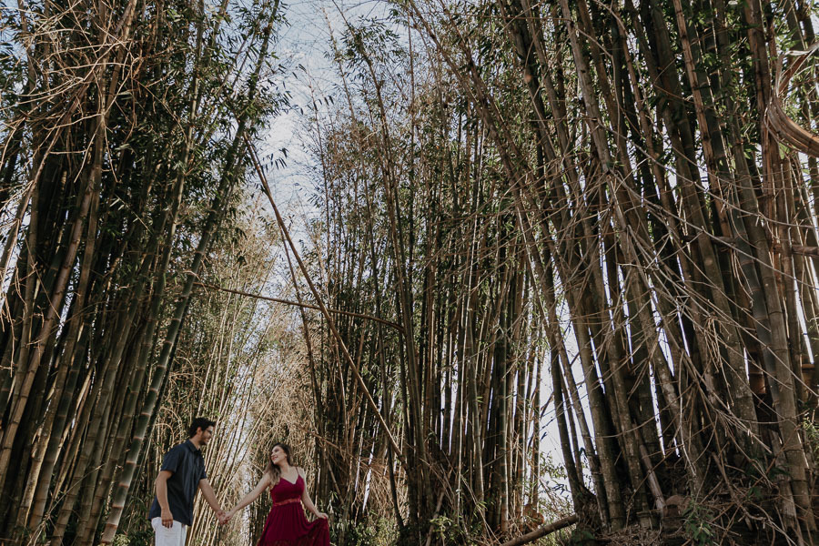 ENSAIO PRE WEDDING EM PLANTACAO DE BAMBUS DE IVATUBA PARANA E FOTOGRAFADO POR LUCAS DREHER E ALINE DREHER