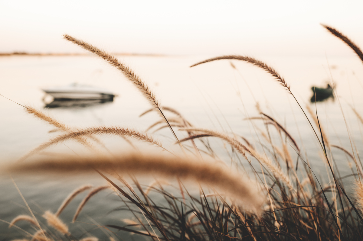 Destination Wedding in Algarve
