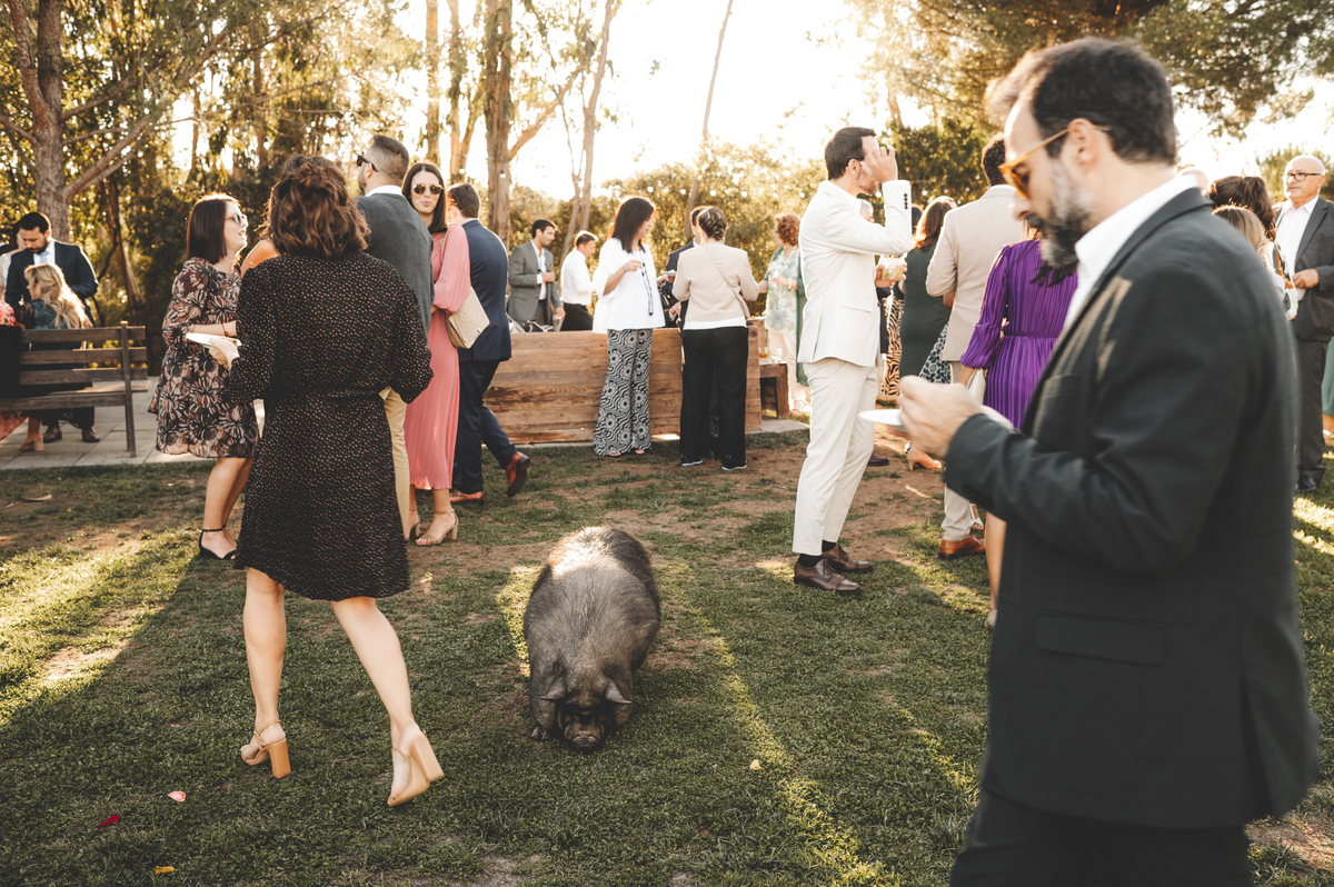 Casamento Herdade da Embriza