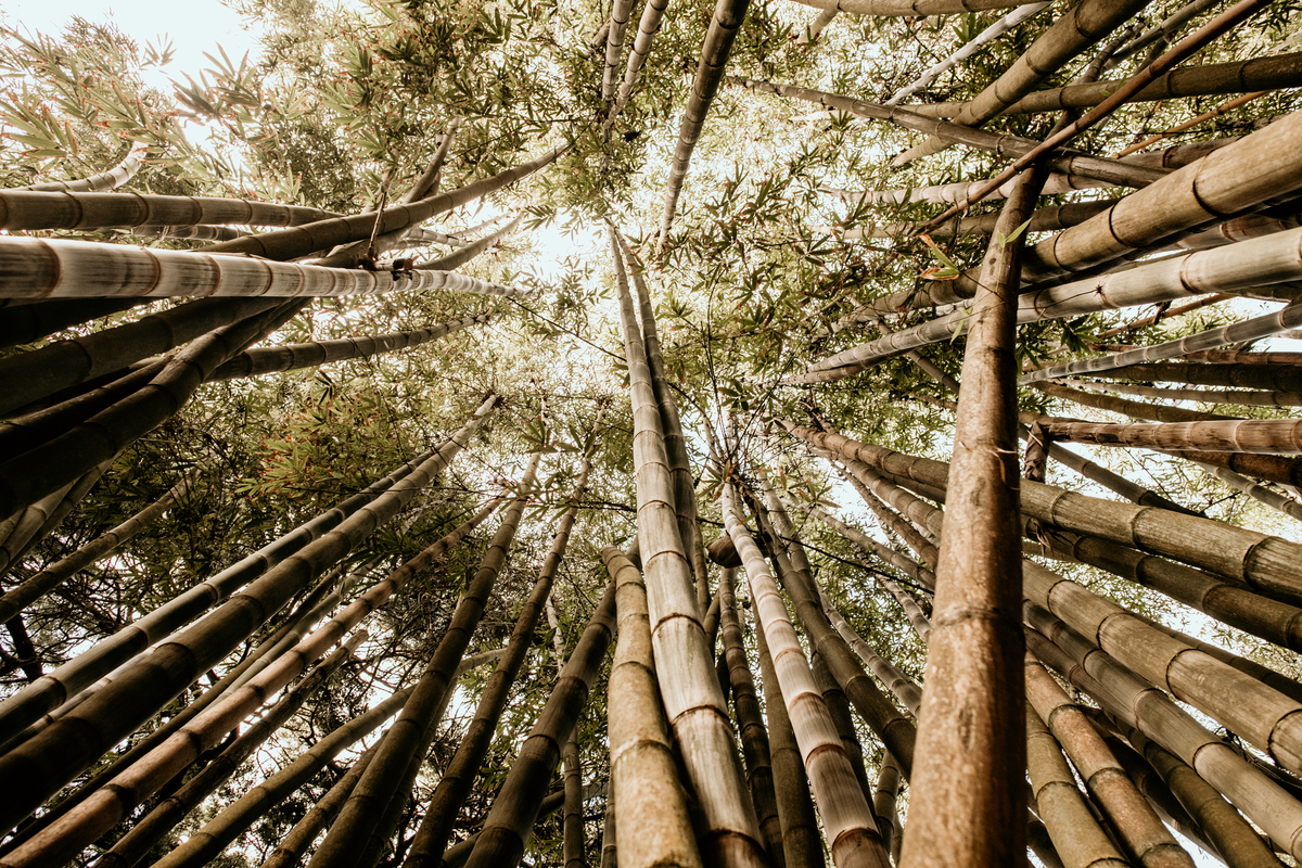 Destination Wedding in Azores