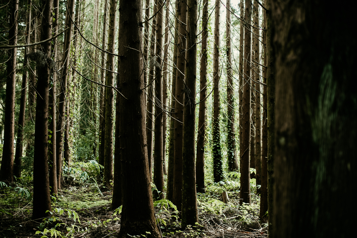 Destination wedding in Azores