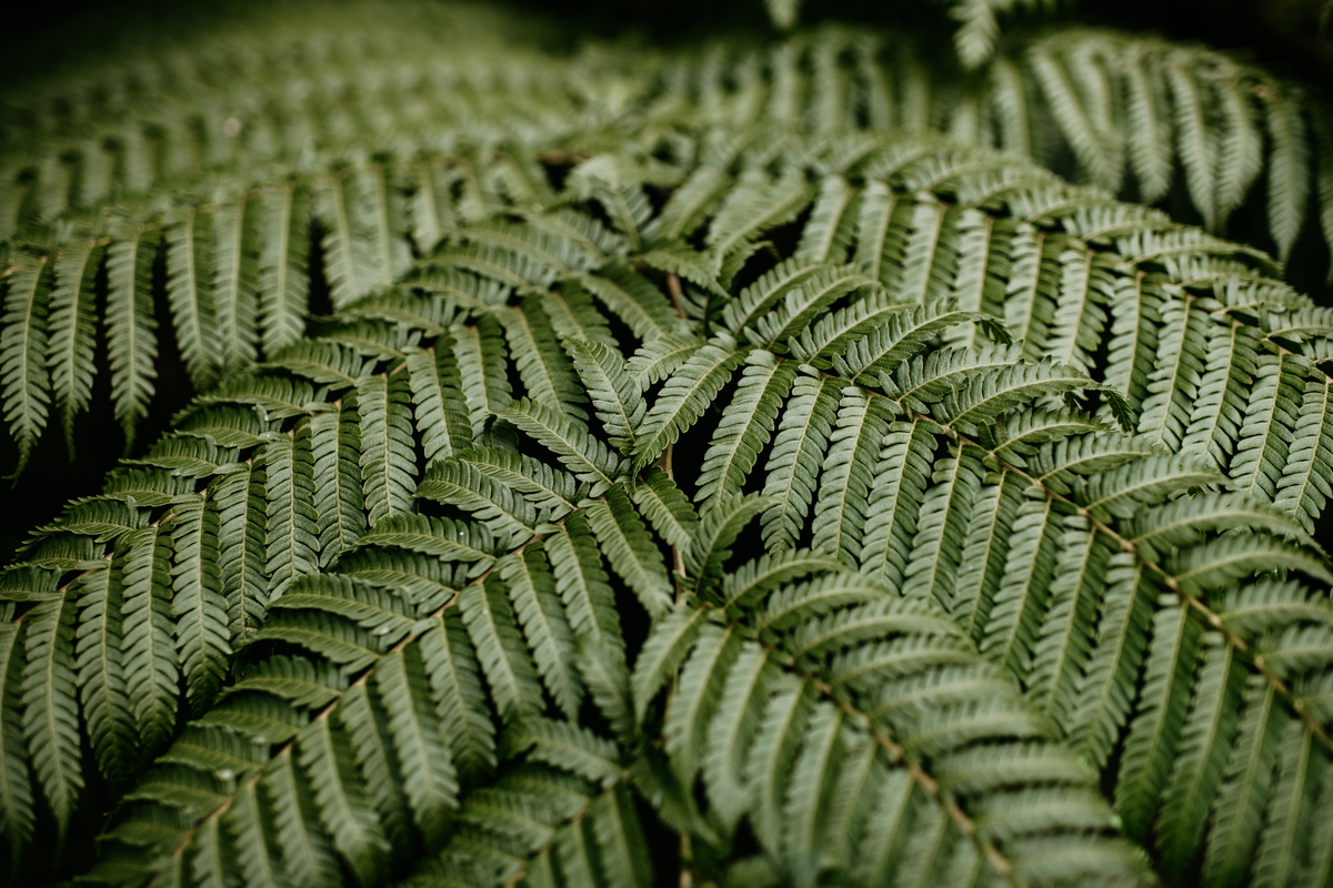 Destination wedding in Azores