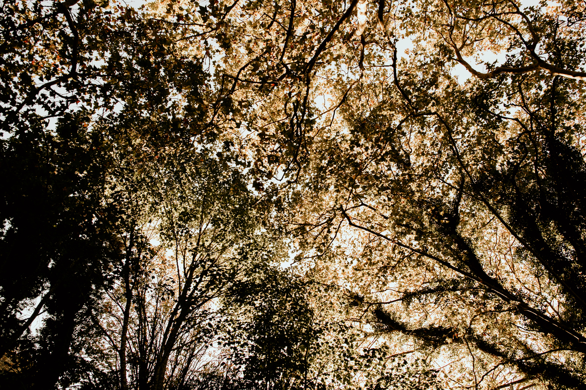 Penha Longa, Casa dos Penedos