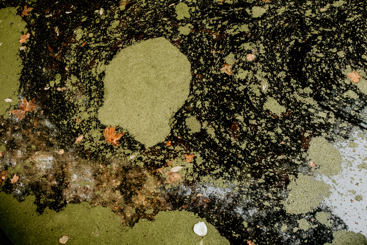 Penha Longa, Casa dos Penedos