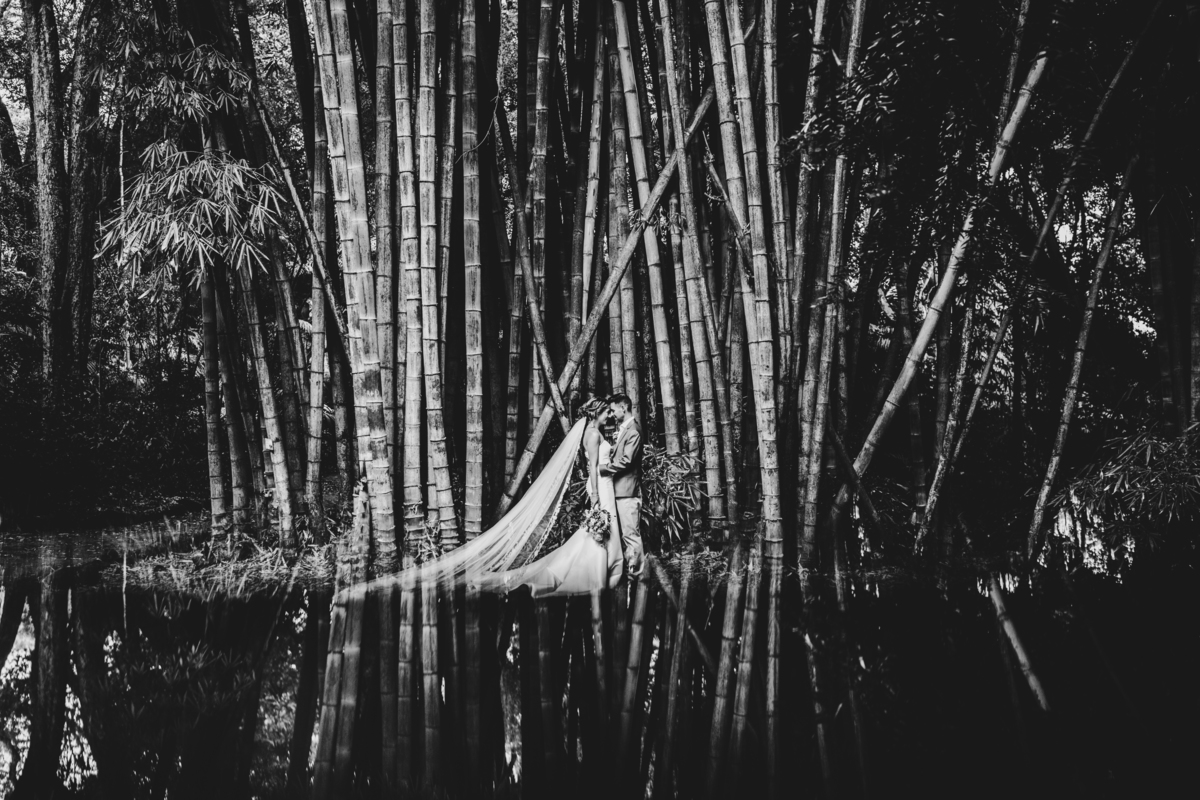 Jardim Botânico José do Canto