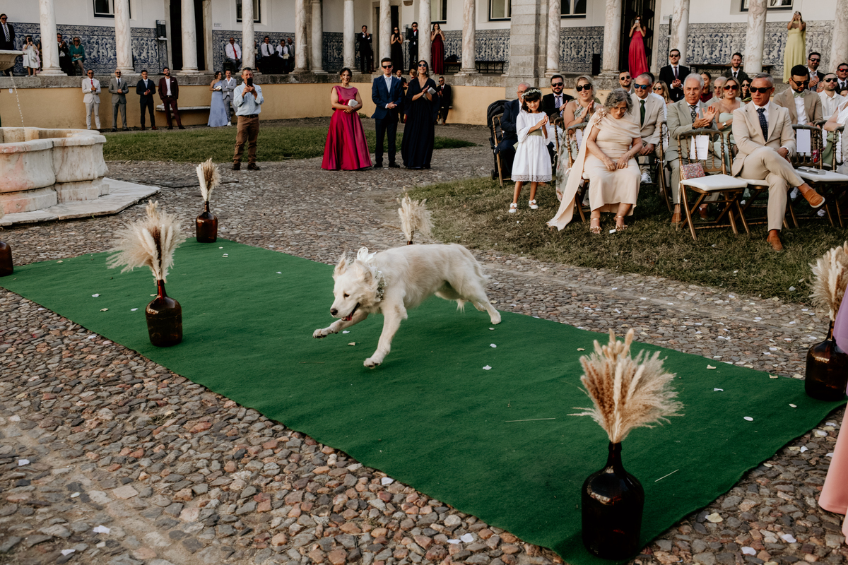 Fotógrafo de casamentos em Évora, casamento no Alentejo