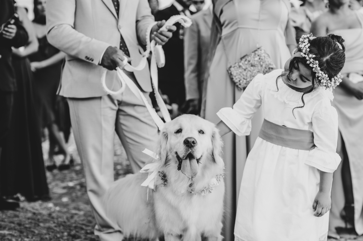 Fotógrafo de casamentos em Évora, casamento no Alentejo