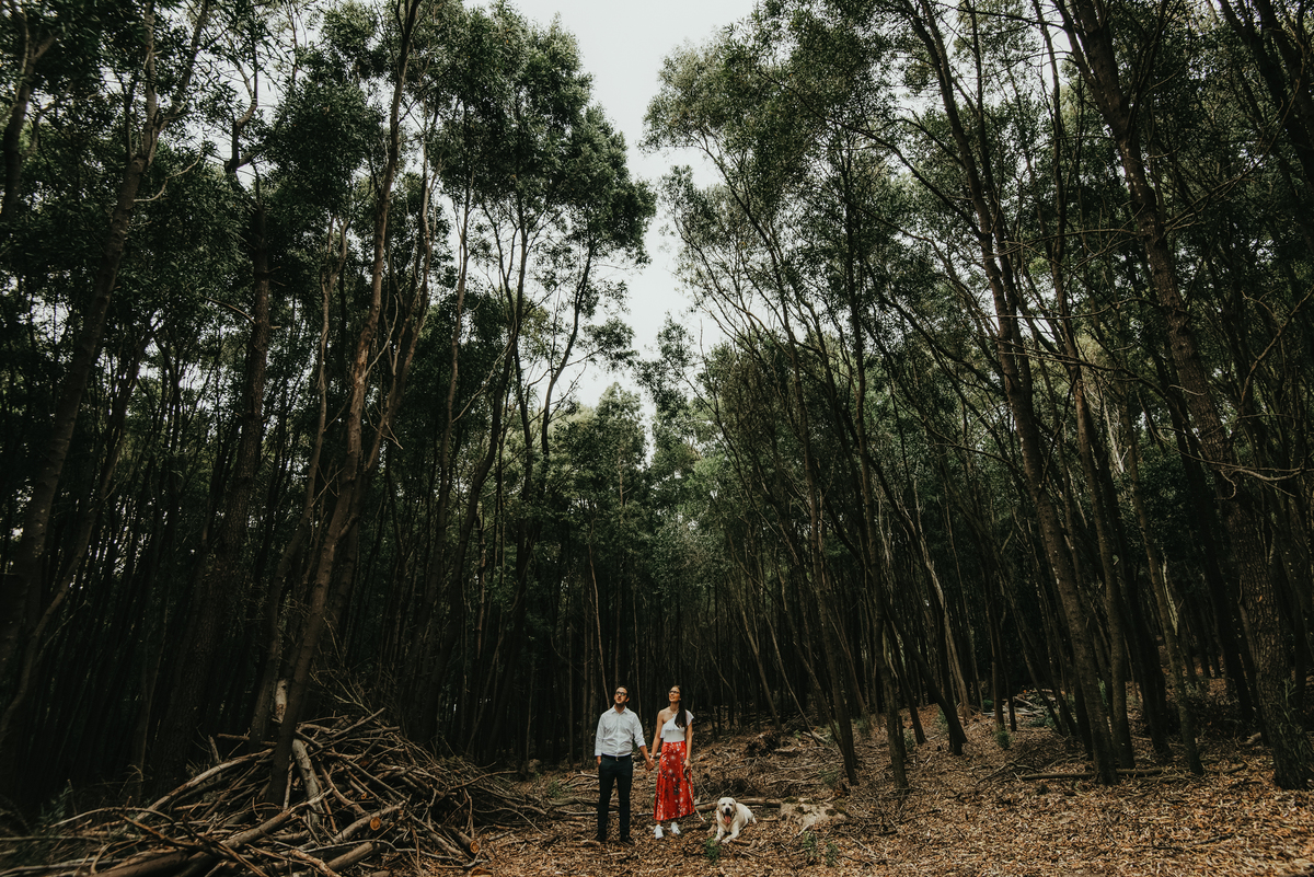 Sessão de namoro na Serra de Sintra