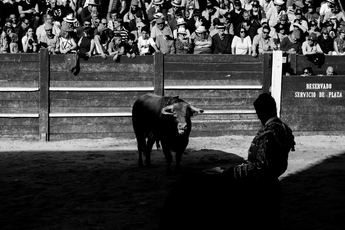Carnaval del Toro en CIUDAD RODRIGO