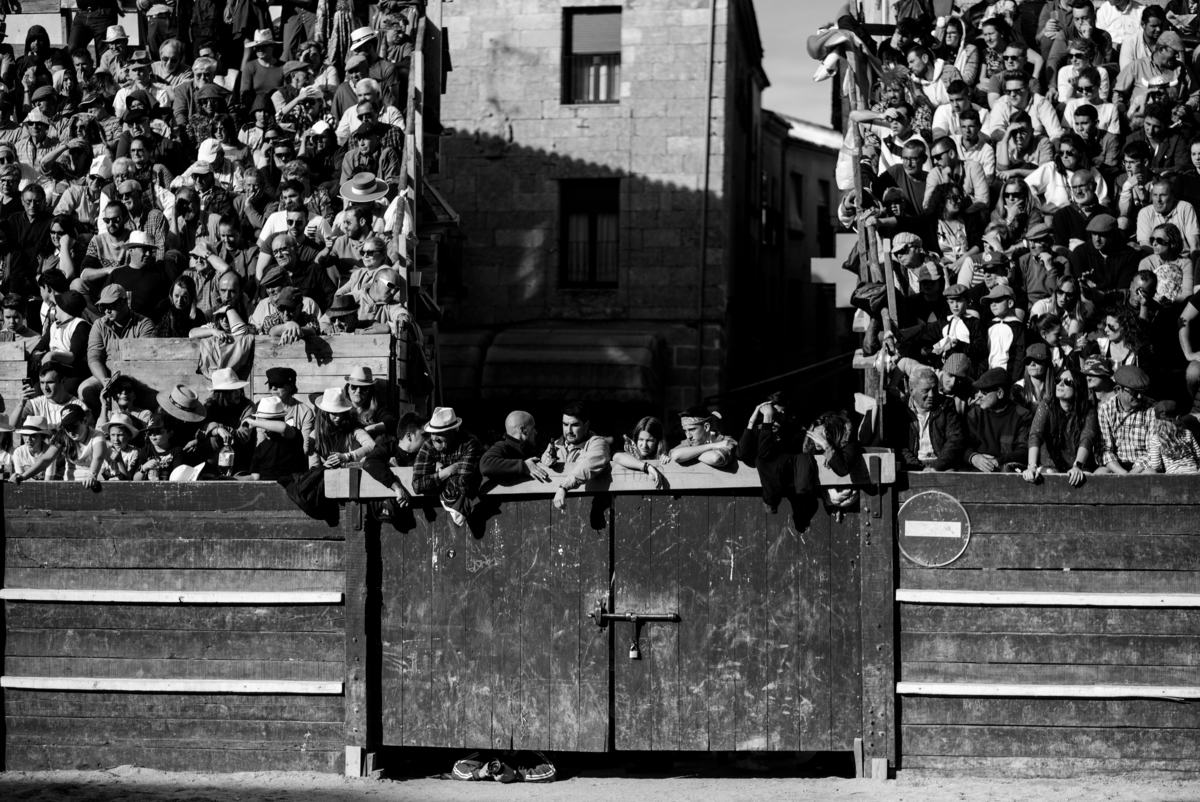 Carnaval del Toro en CIUDAD RODRIGO