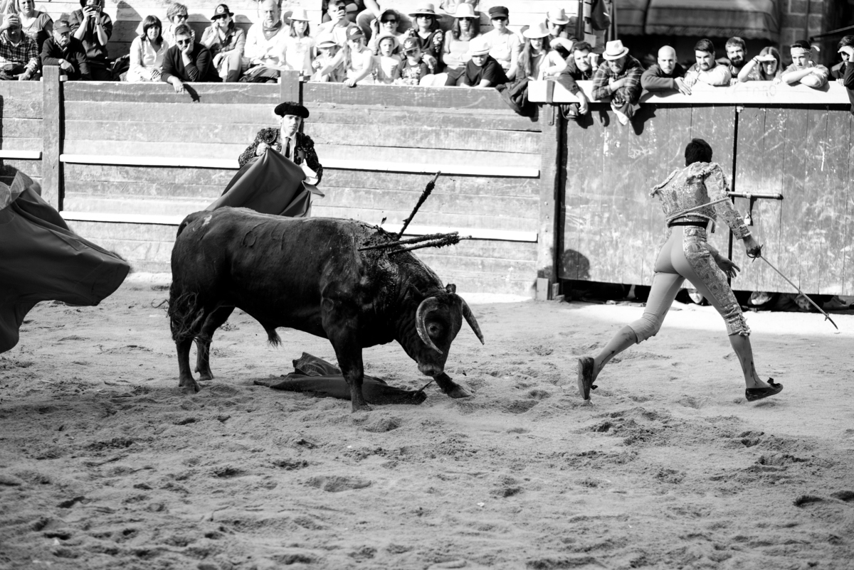 Carnaval del Toro en CIUDAD RODRIGO