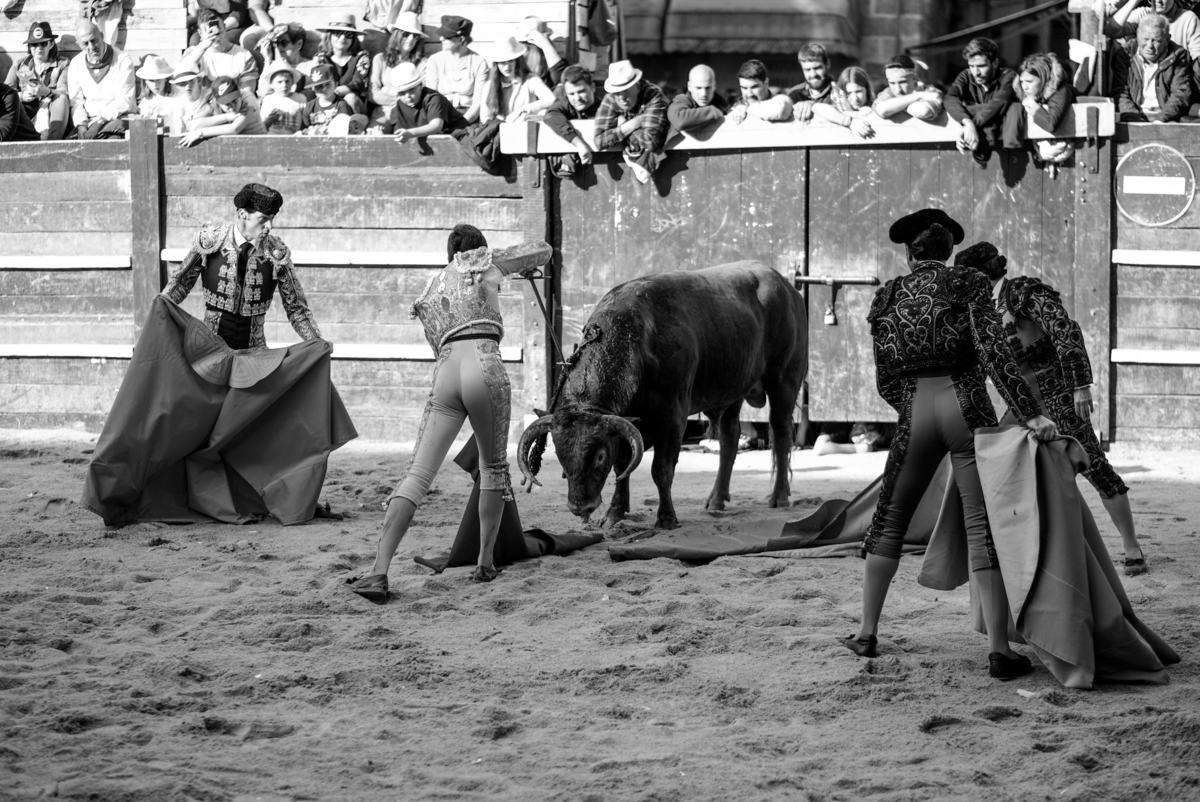 Carnaval del Toro en CIUDAD RODRIGO