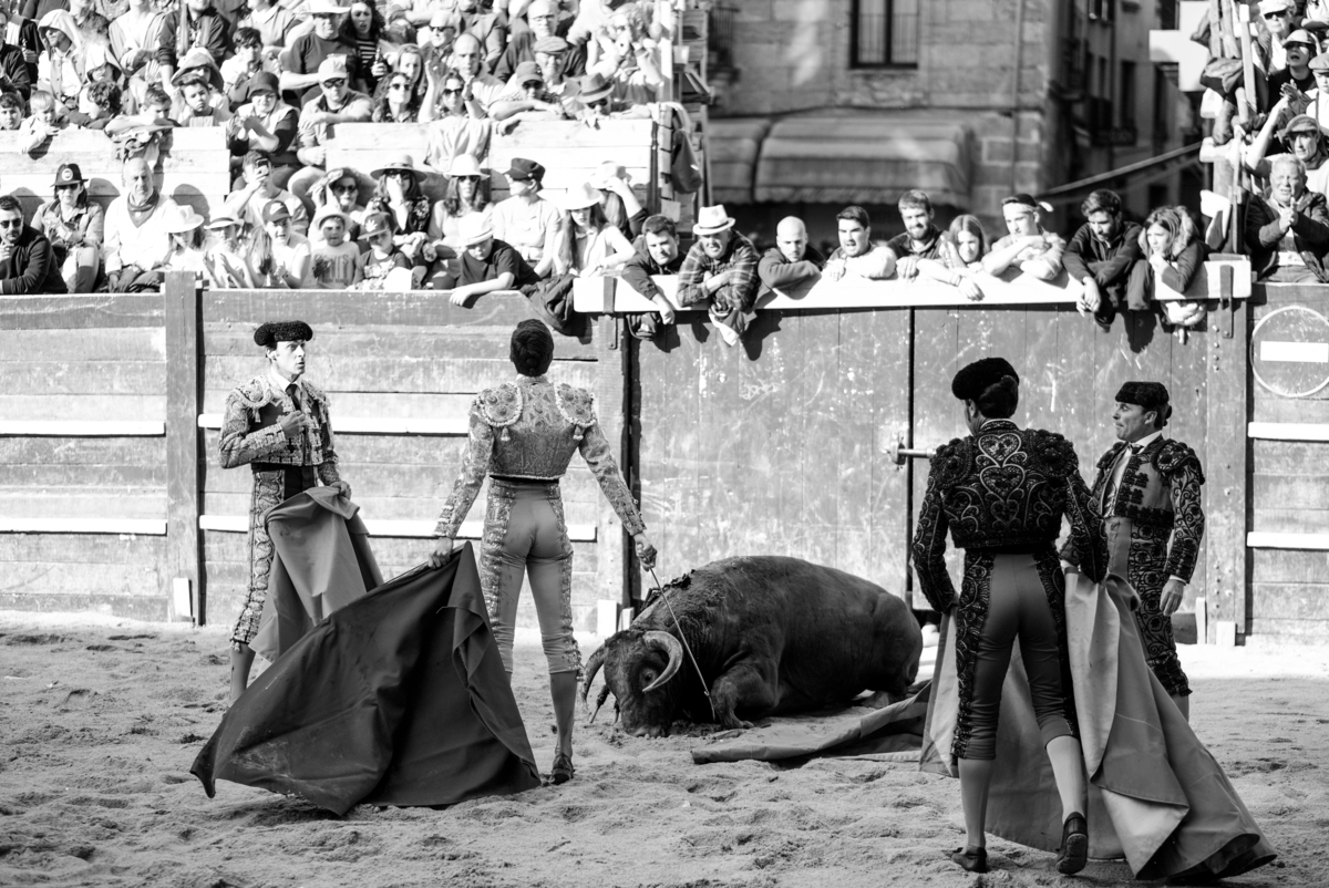 Carnaval del Toro en CIUDAD RODRIGO