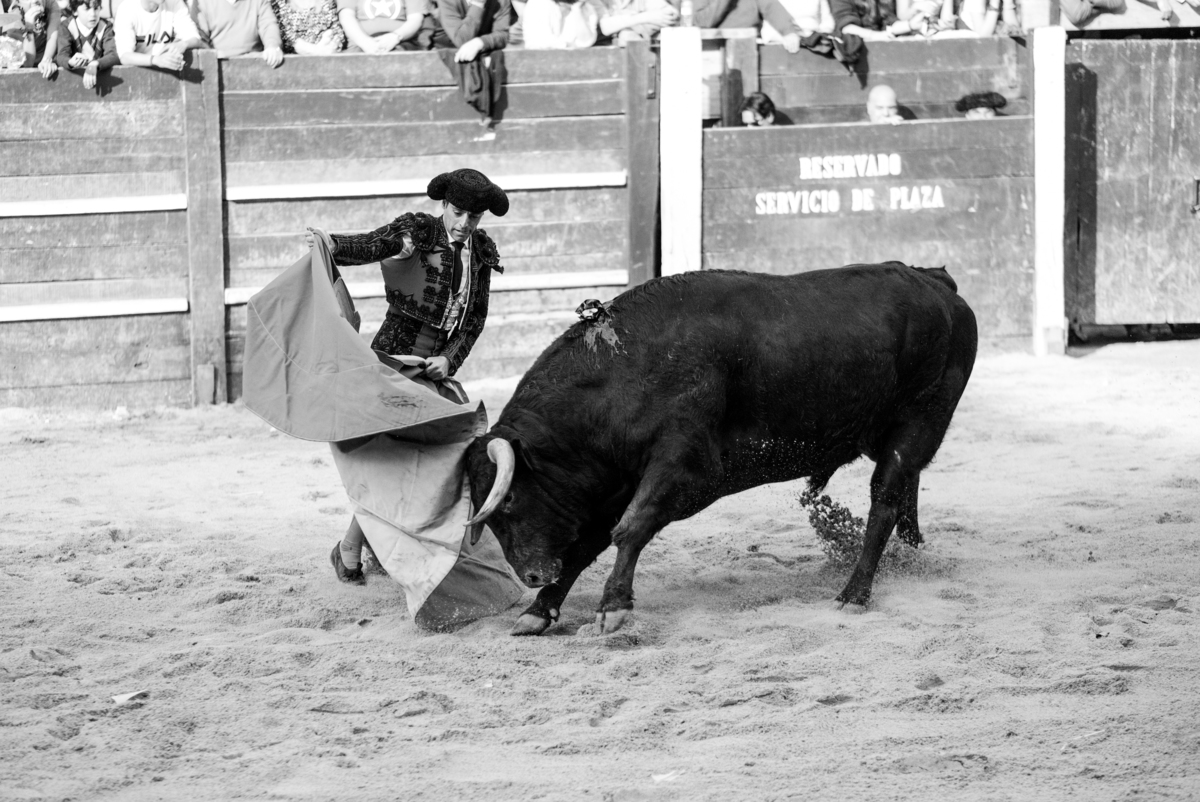 Carnaval del Toro en CIUDAD RODRIGO