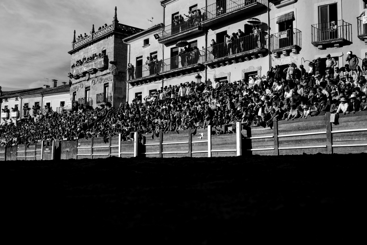 Carnaval del Toro en CIUDAD RODRIGO