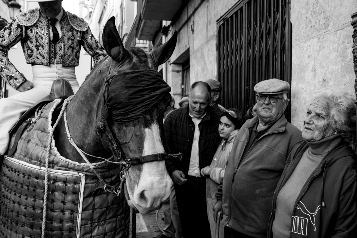 Carnaval del Toro en CIUDAD RODRIGO