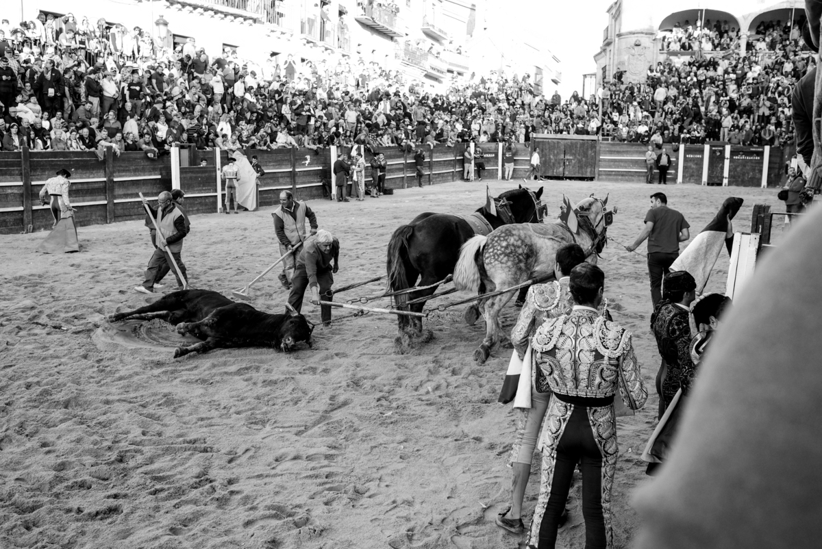 Carnaval del Toro en CIUDAD RODRIGO