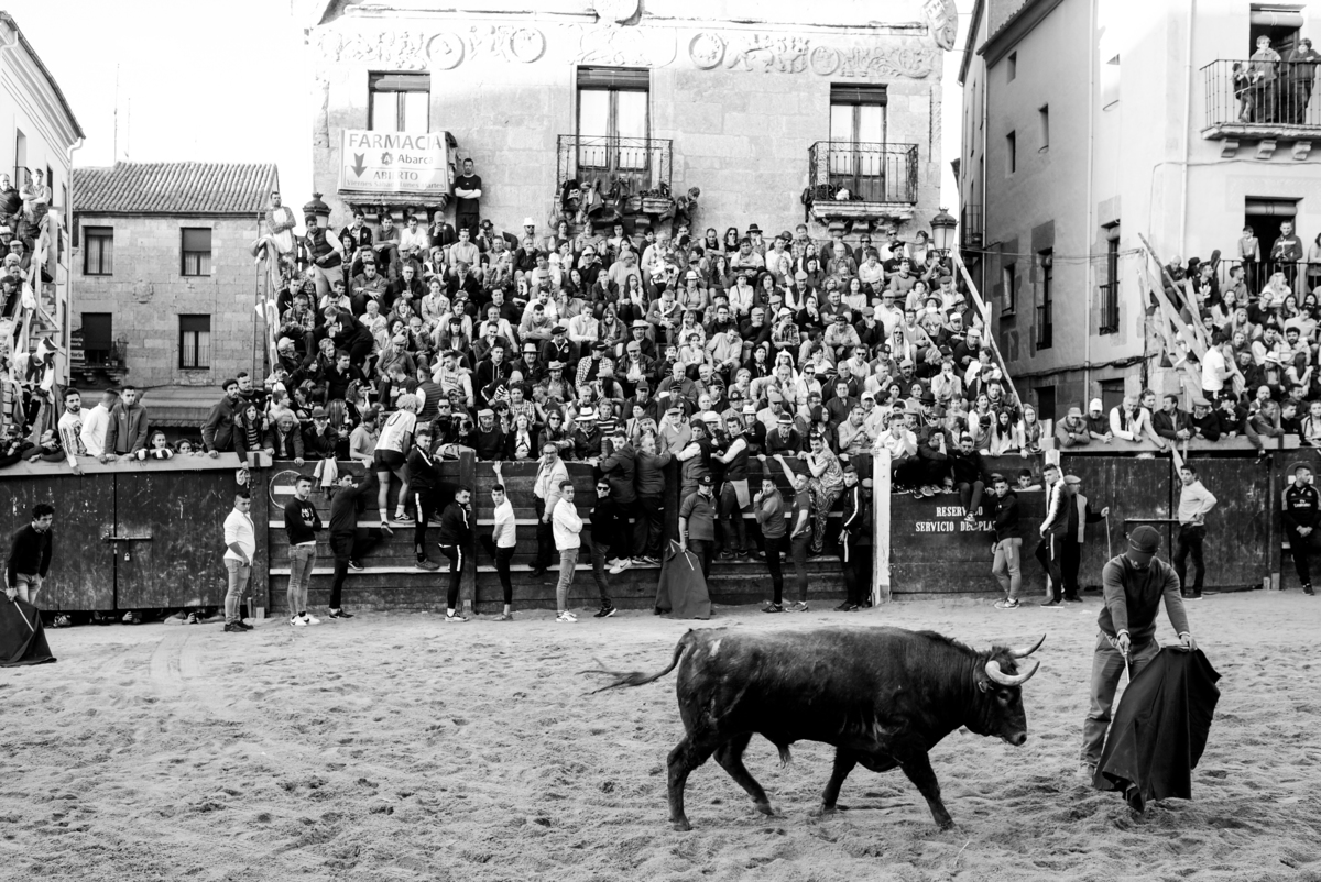 Carnaval del Toro en CIUDAD RODRIGO