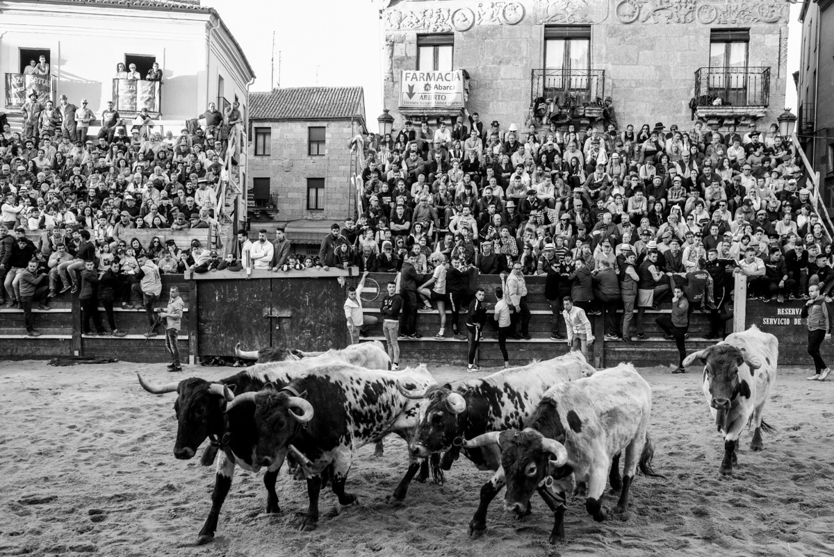 Carnaval del Toro en CIUDAD RODRIGO