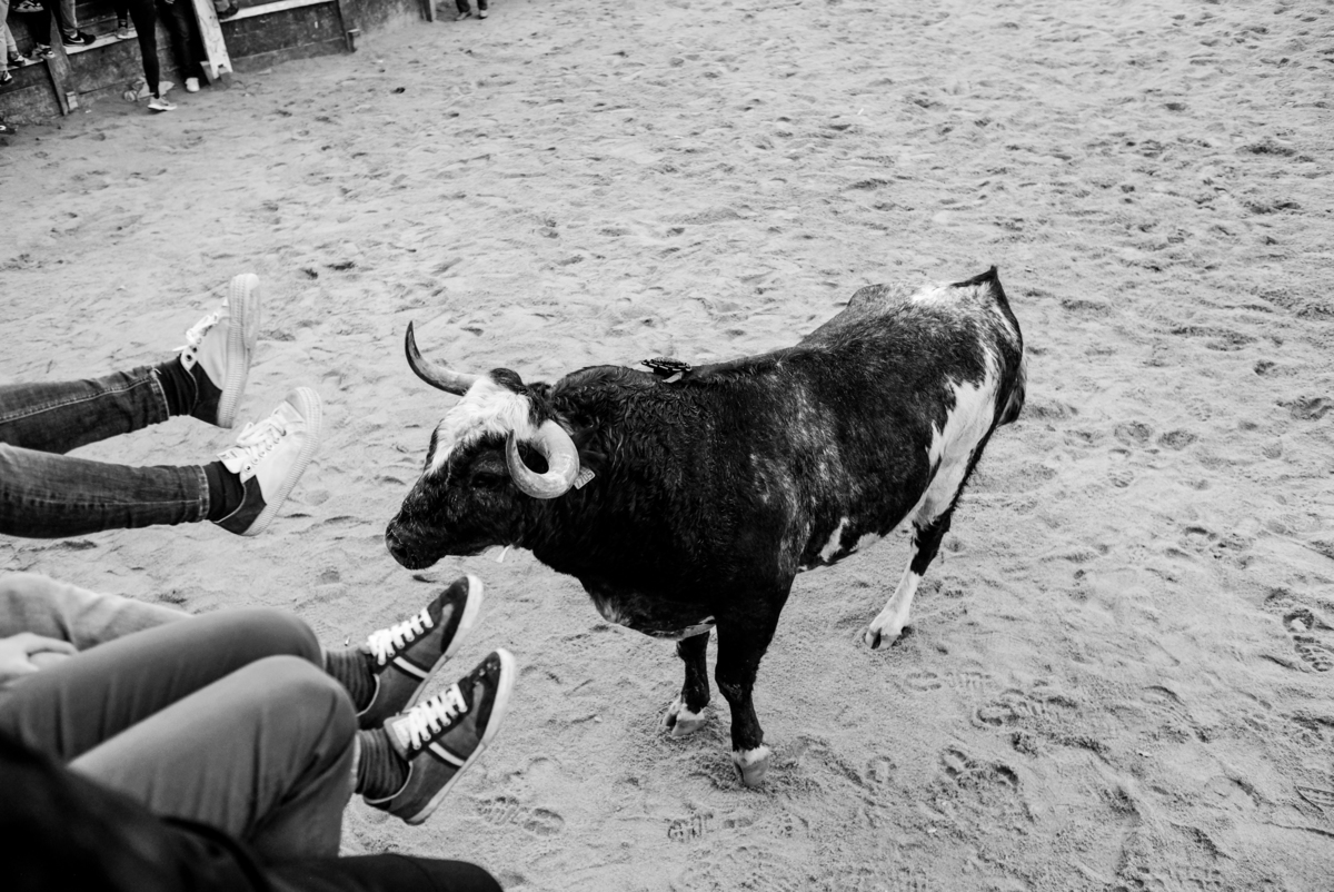 Carnaval del Toro en CIUDAD RODRIGO