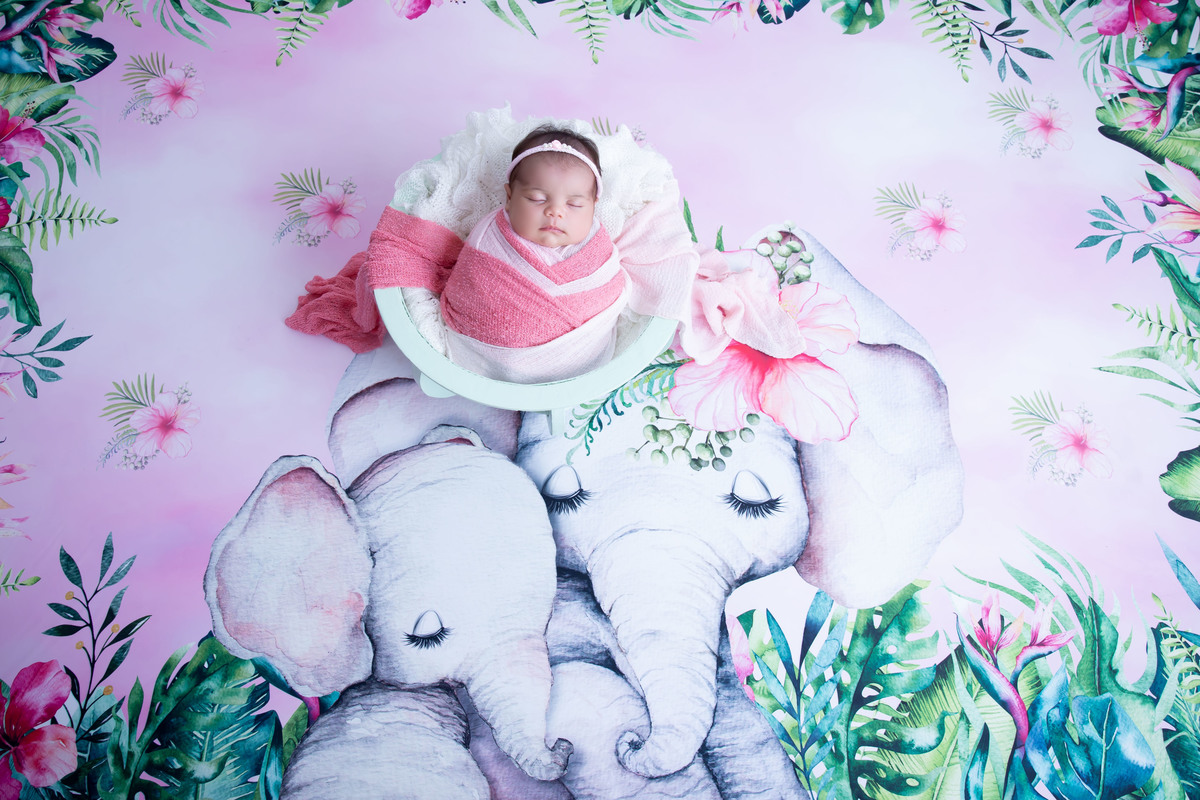 fotos feito no estúdio Gabriele França