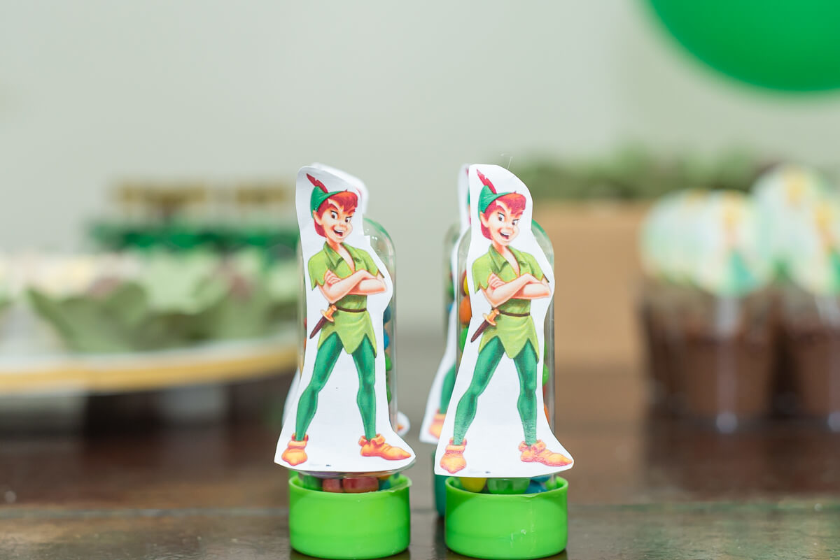 Aniversário da Catarina de 5 anos, com o tema Peter Pan, pela fotógrafa Fabiana Bomfim.