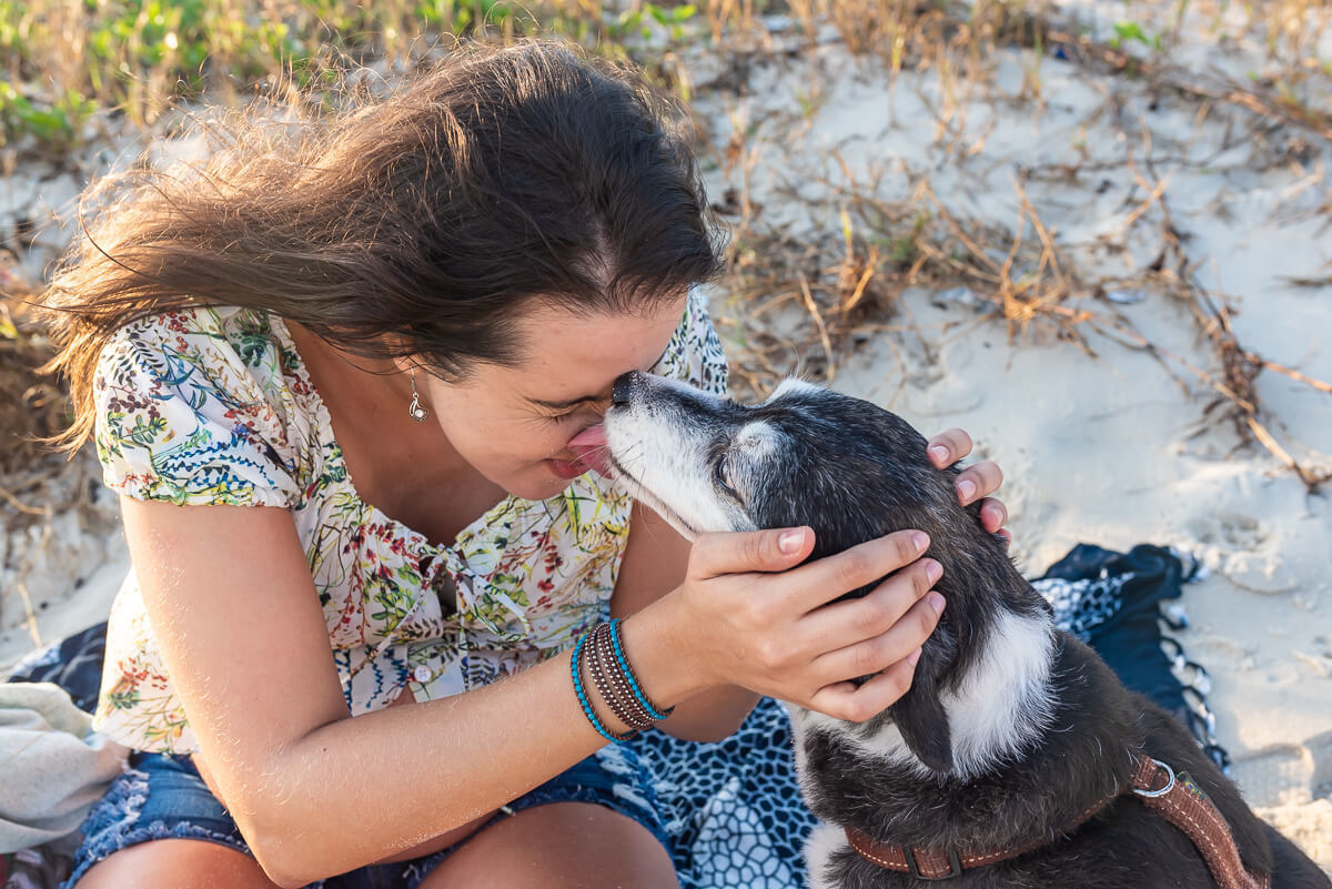 O cuidado da irmãzinha mais velha de 4 patas com a mamãe, enquanto esperam a chegada da  Clara, pela fotógrafa Fabiana Bomfim.