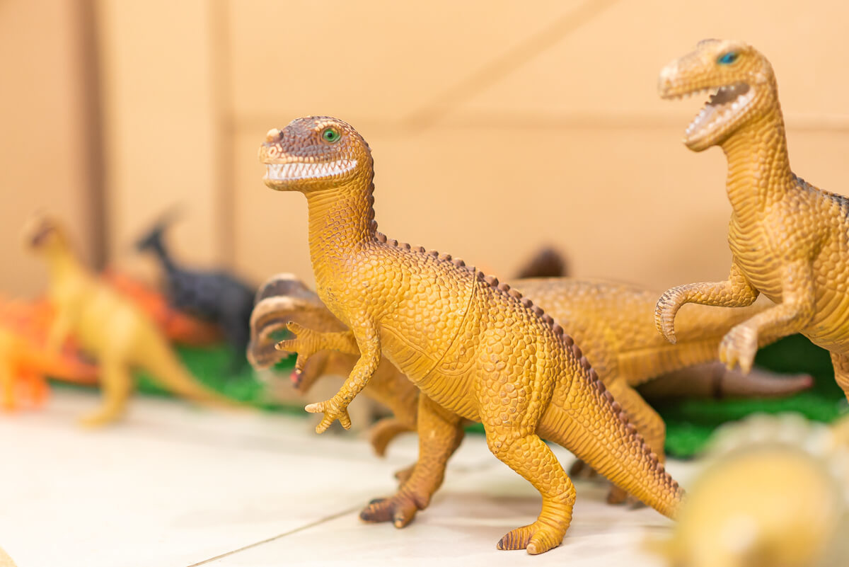 Aniversário de 6 anos do Francisco com o tema dinossauros, realizado em BH, pela fotógrafa Fabiana Bomfim.