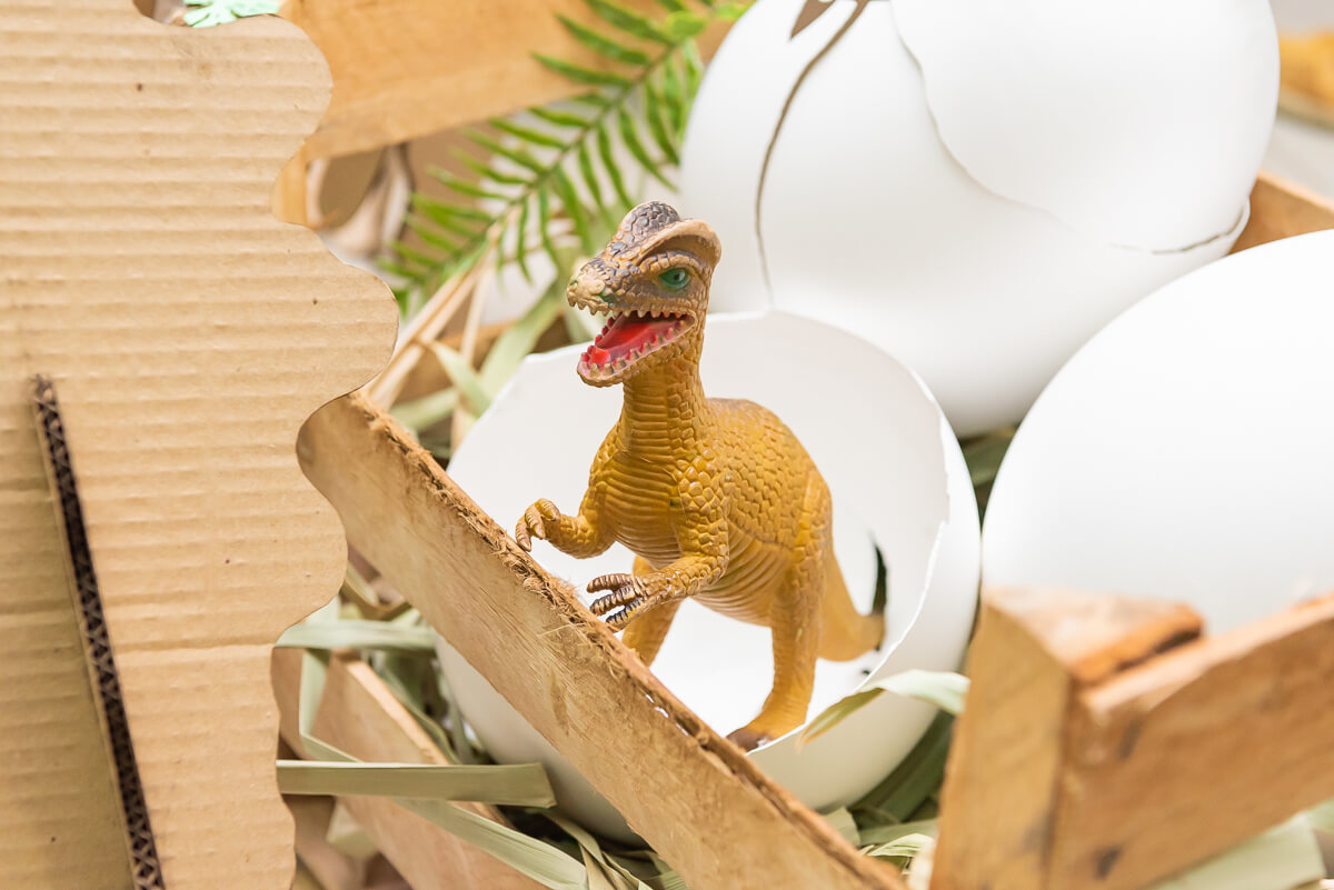 Aniversário de 6 anos do Francisco com o tema dinossauros, realizado em BH, pela fotógrafa Fabiana Bomfim.