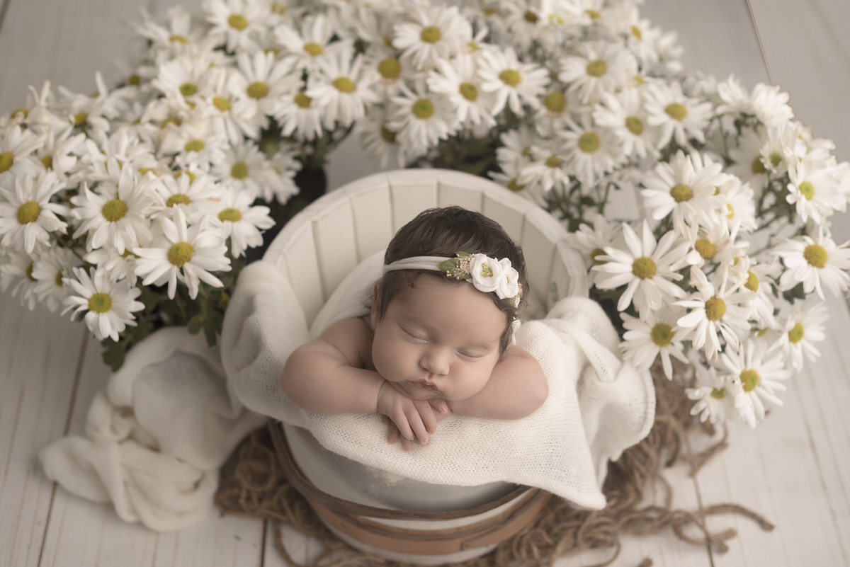 
Ensaio em Rio Claro-SP, familia apaixonada, natureza, amor, casal, Jonathan Januario, foto, fotografia, Araras, leme, limeira,campinas, São Paulo,newborn , fotos de família, recem nascido, fotos de bebe
