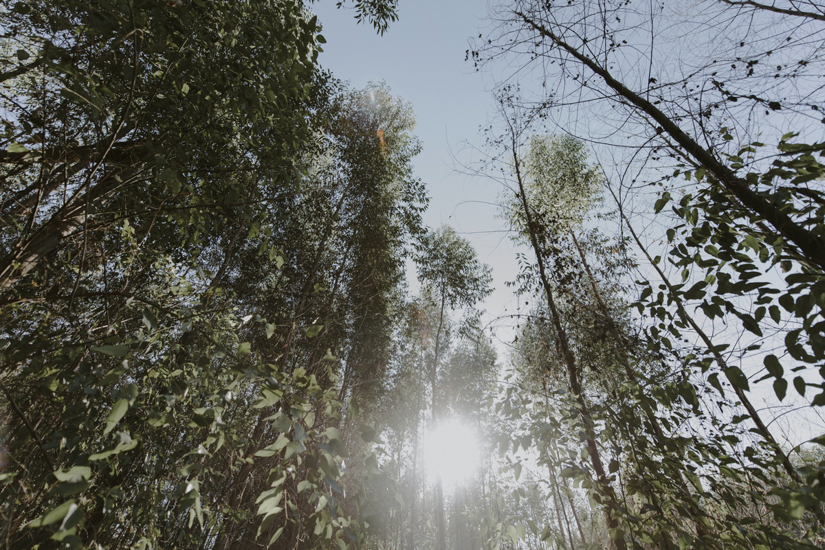 Ensaio em Rio Claro-SP, familia apaixonada, casal, Jonathan Januario, chocolate caramelo, fotografia, Araras, leme, limeira,campinas, São Paulo, folk, lifeStyle, foto na fazenda, familia,gestante,gestação,baby,bebê,grávida, newborn, Porto Alegre, POA