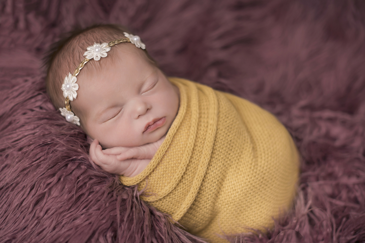 Ensaio em Rio Claro-SP, familia apaixonada, natureza, amor, casal, Jonathan Januario, foto, fotografia, Araras, leme, limeira,campinas, São Paulo,newborn , fotos de família, recem nascido, fotos de bebe