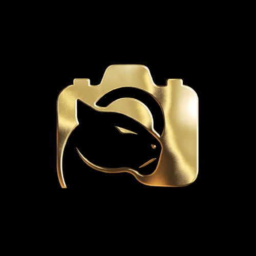 Logotipo de Lucianne Santos de Paula de Barros