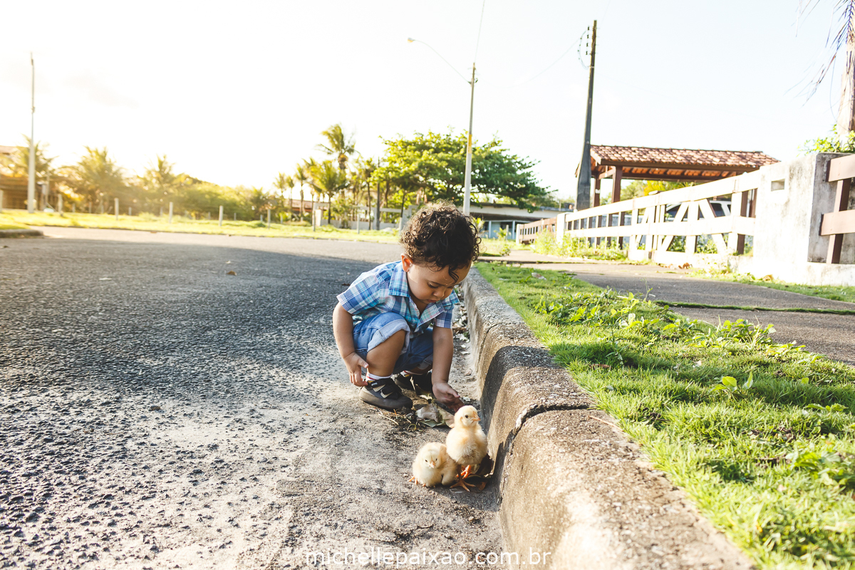 book eterno para crianças em Mucuri BA ideias
