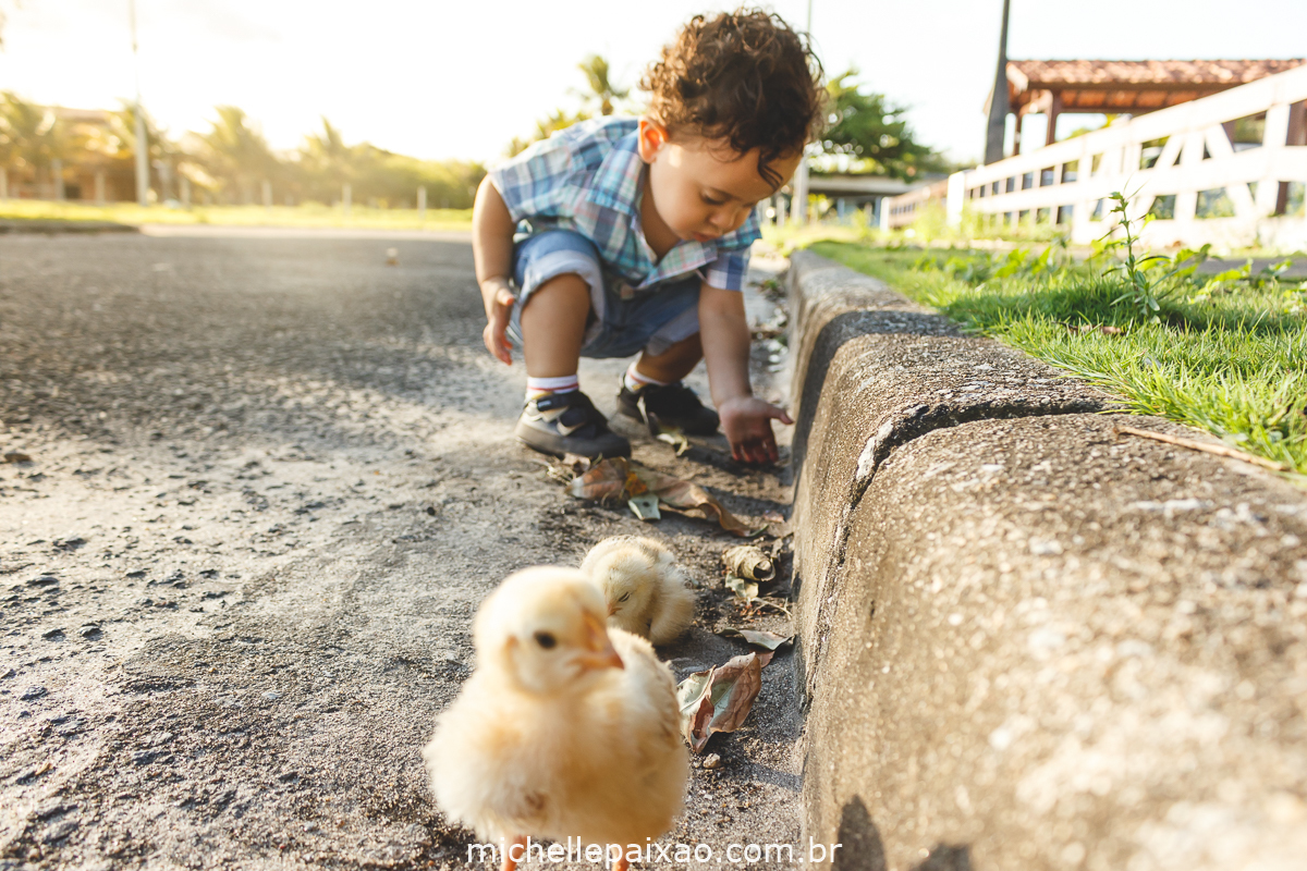 Ensaio de criança com pintinhos Vila Suzano Mucuri Bahia