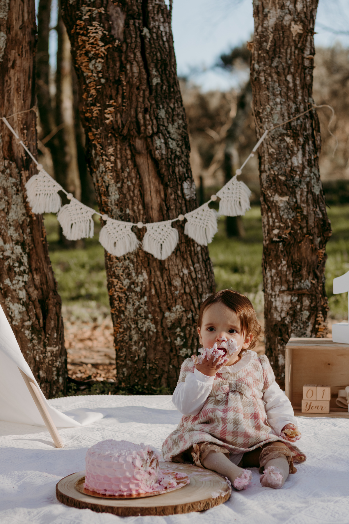 Sessão smash and cake

