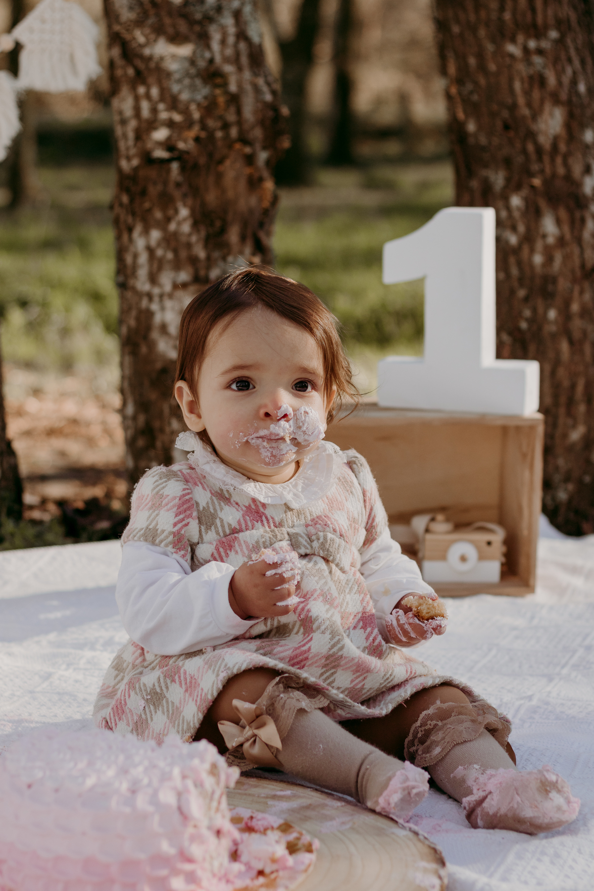 Sessão smash and cake

