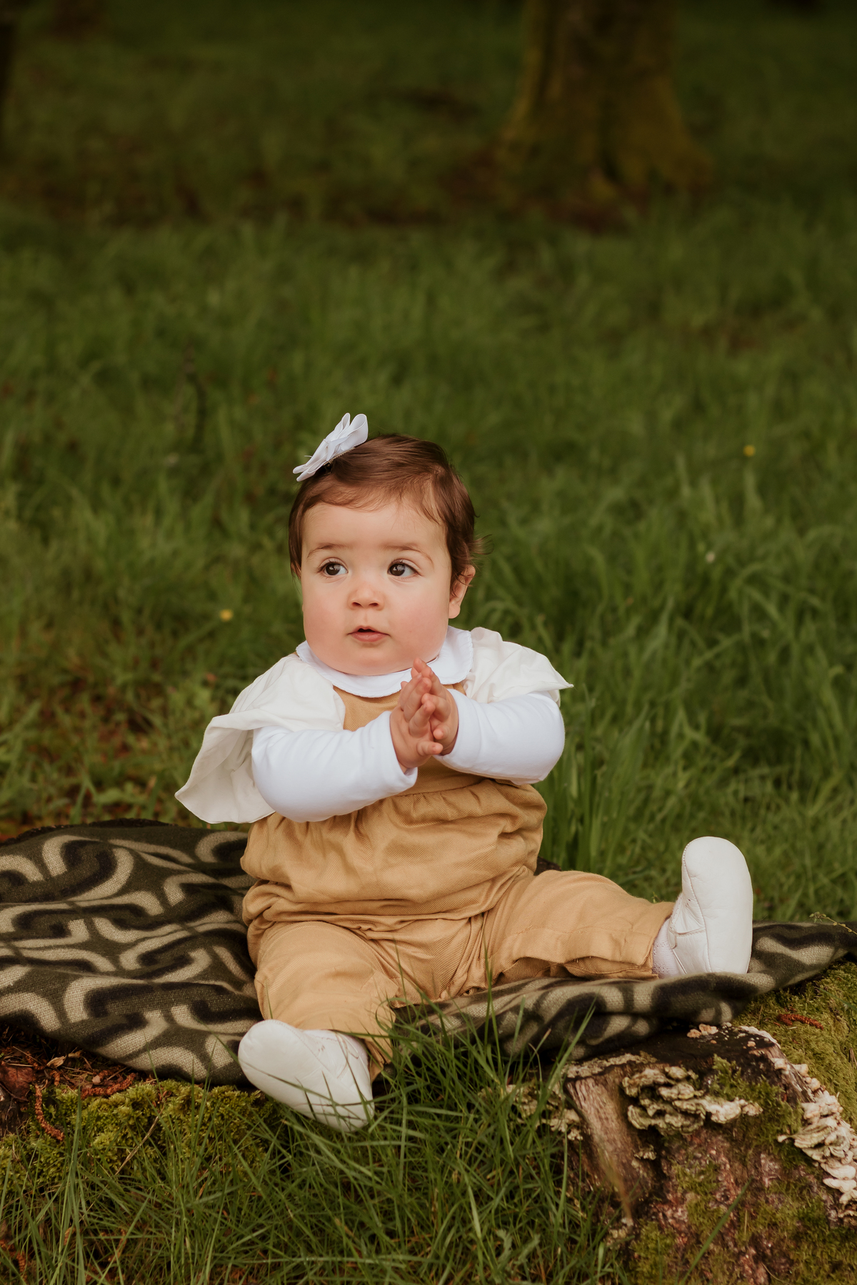 Sessão fotográfica de bebé 

