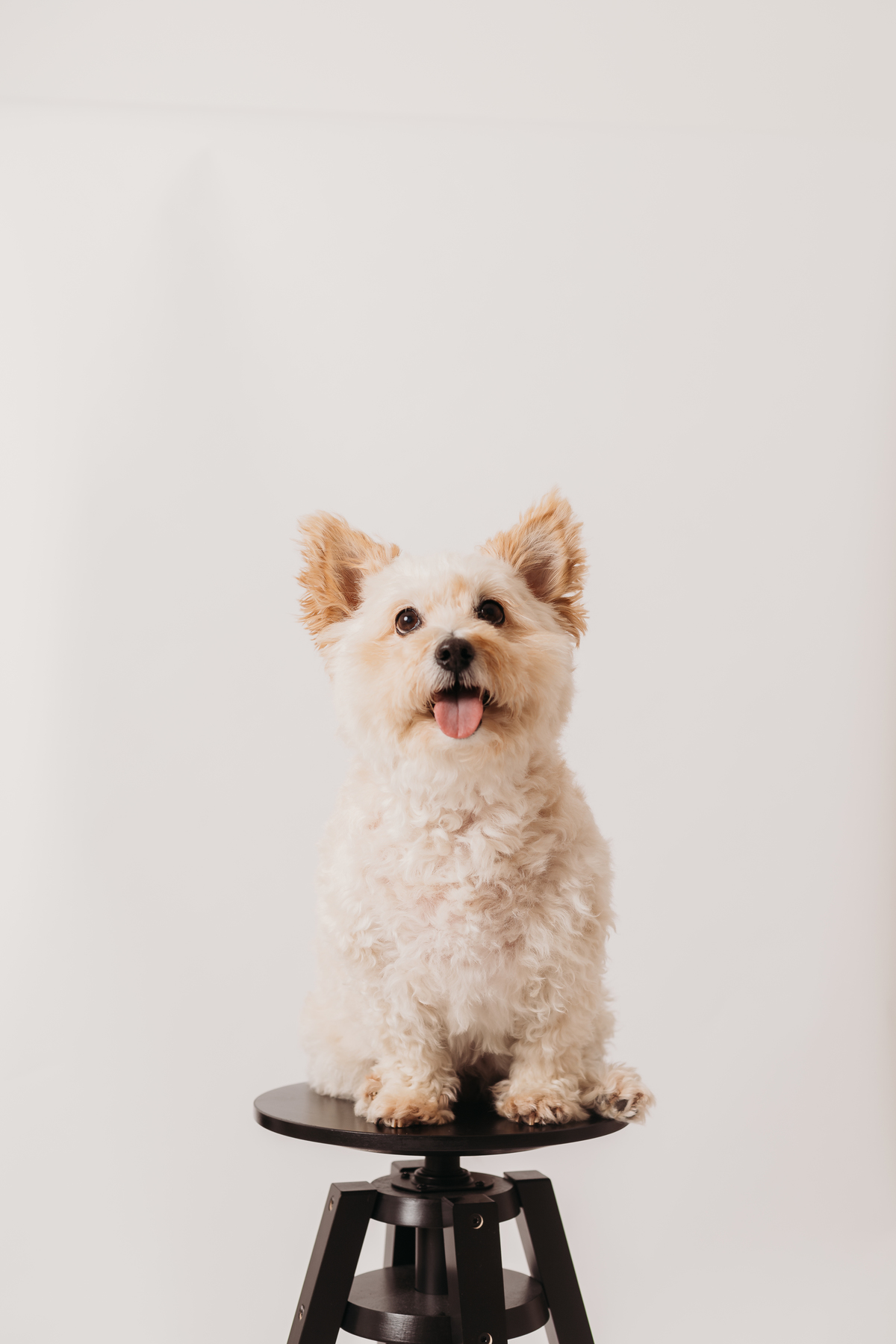 Sessão fotográfica feminina com a Prada