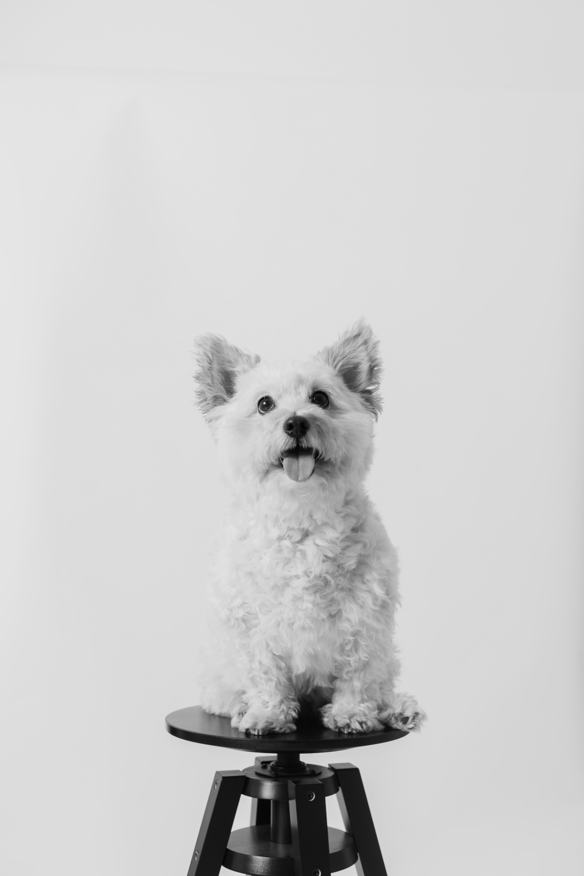 Sessão fotográfica feminina com a Prada