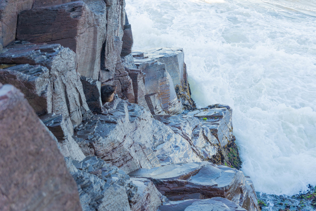 ensaio fotográfico ao amanhecer em torres trash the dress  noiva all star casal modelo noivo terno azul visitante ilustre leão marinho