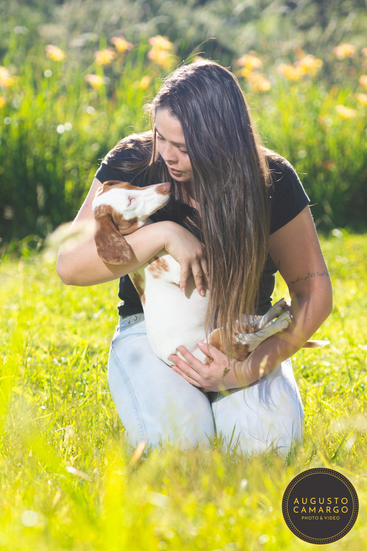 dachshund linguicinha cofap arlequin cego cruzamento indevido canil adoção deficiente cão tutor 