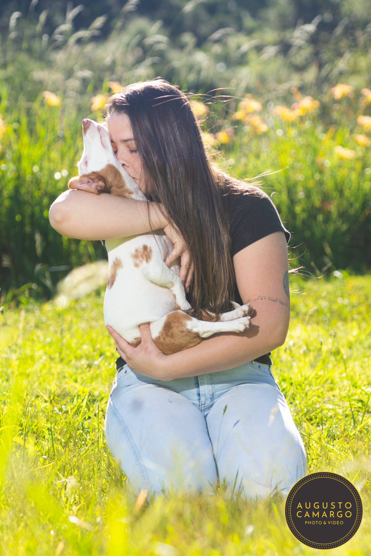 dachshund linguicinha cofap arlequin cego cruzamento indevido canil adoção deficiente cão tutor 