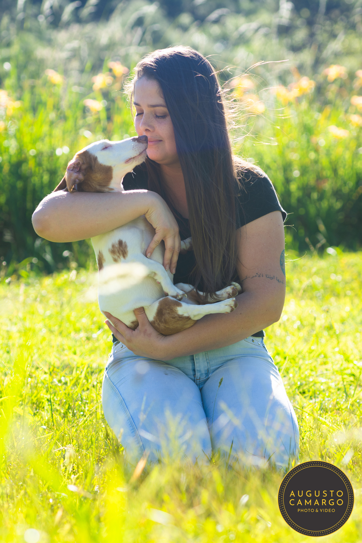 dachshund linguicinha cofap arlequin cego cruzamento indevido canil adoção deficiente cão tutor 