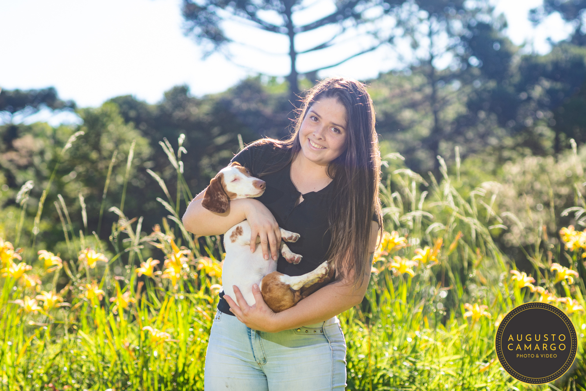 dachshund linguicinha cofap arlequin cego cruzamento indevido canil adoção deficiente cão tutor 
