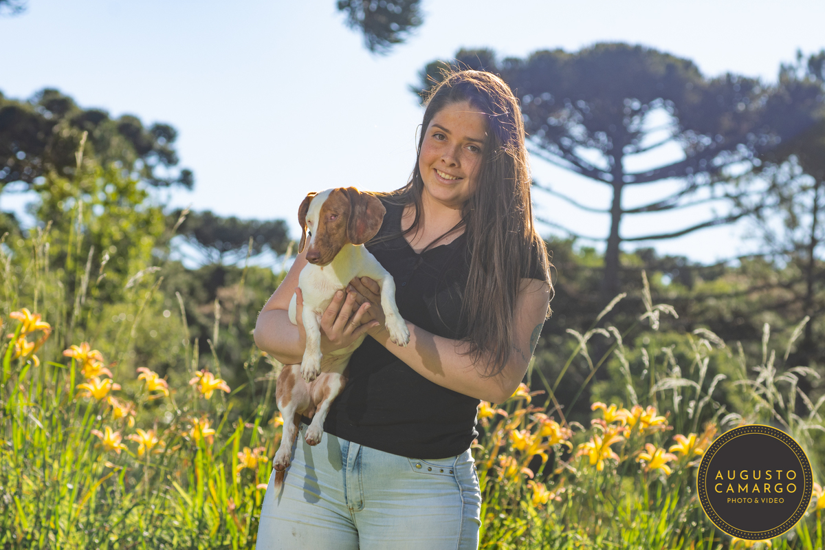 dachshund linguicinha cofap arlequin cego cruzamento indevido canil adoção deficiente cão tutor 