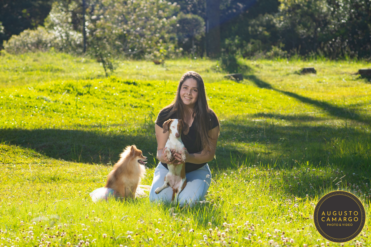 dachshund linguicinha cofap arlequin cego cruzamento indevido canil adoção deficiente cão tutor 