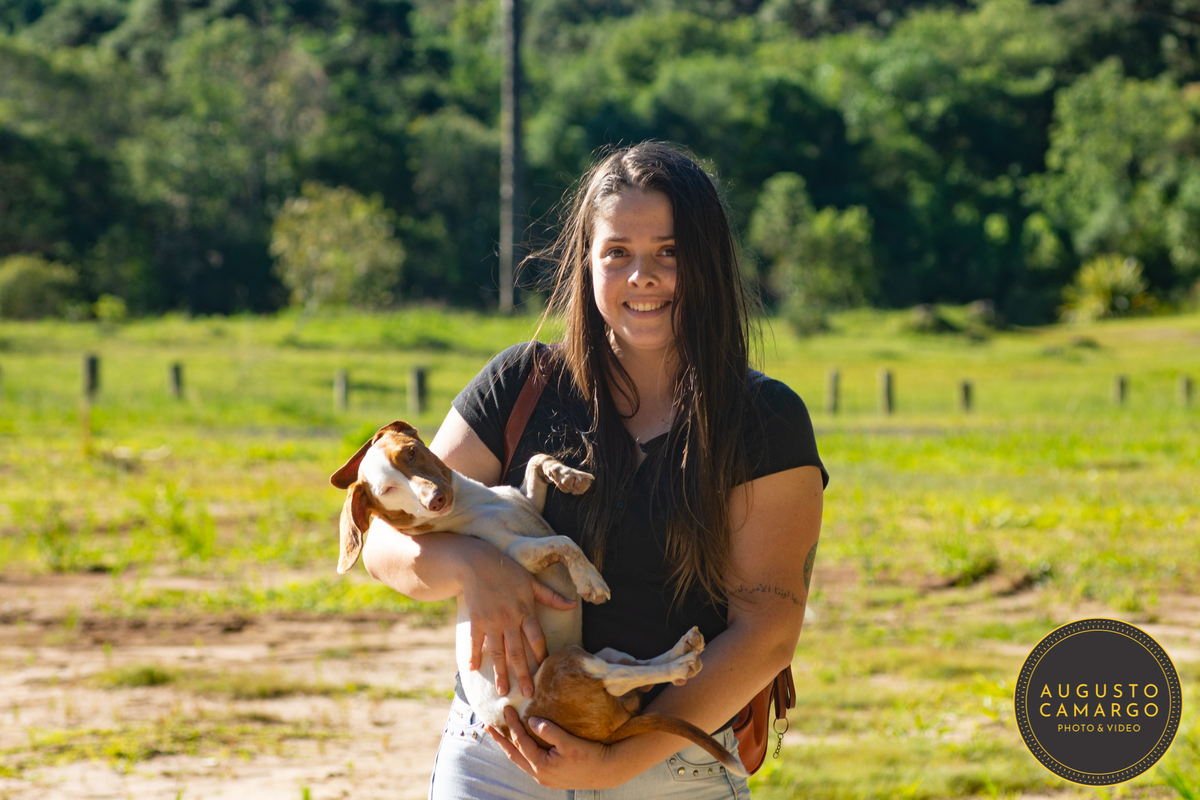 dachshund linguicinha cofap arlequin cego cruzamento indevido canil adoção deficiente cão tutor 